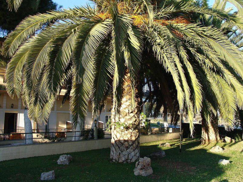 7311AF08858FD940ECF70284882965DB