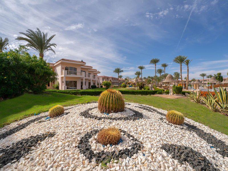 46995F8E5FFCC9FAC63C8BBB4B4D3671