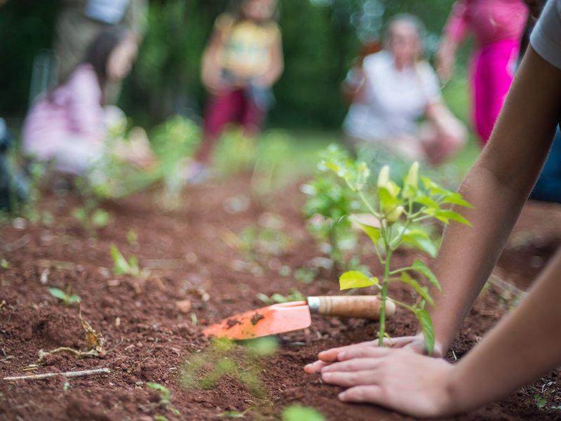 BA9463BD993F14A05DA142DE7834A588