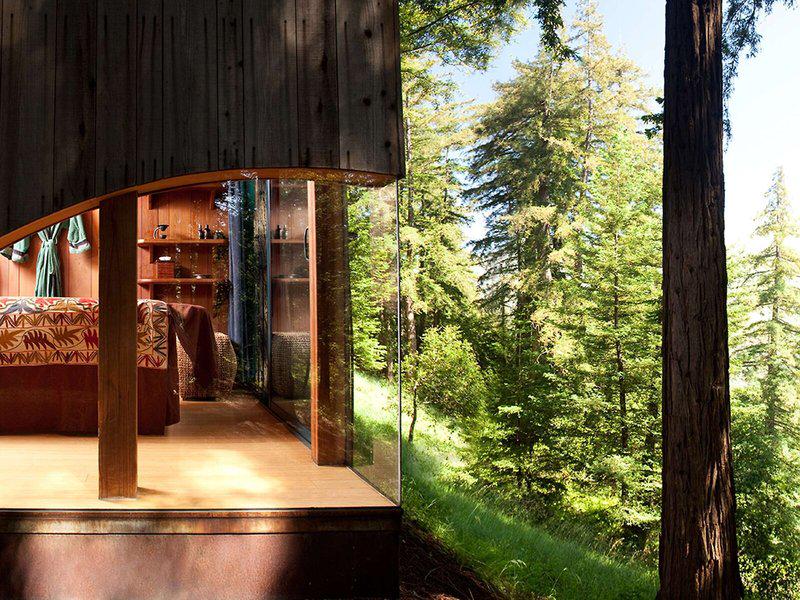 FEE80FD6A4D5527FC0BCF11E85D4852E