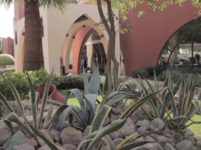 F06912A77E0393DC2C02D64C388251B2