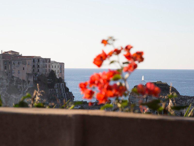 B51F329BAFED6337BF484C976BABA2E7