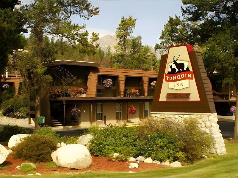 254569F99AF70324258209CBFD1EBDEE