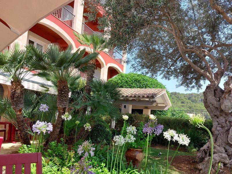 EA43013AD1D565BC049B6C224B6B33DA