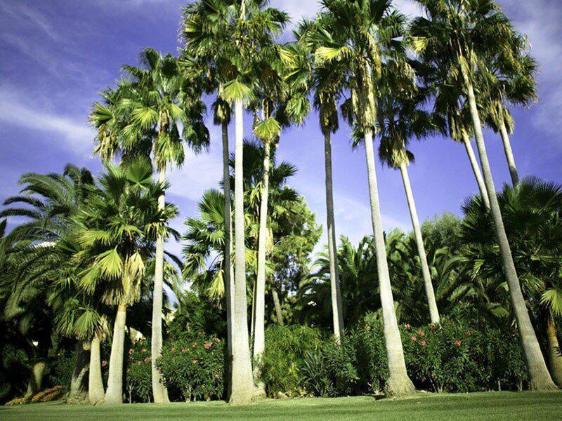 07A3732DEDD6268D1AA45B319B3CF3CA