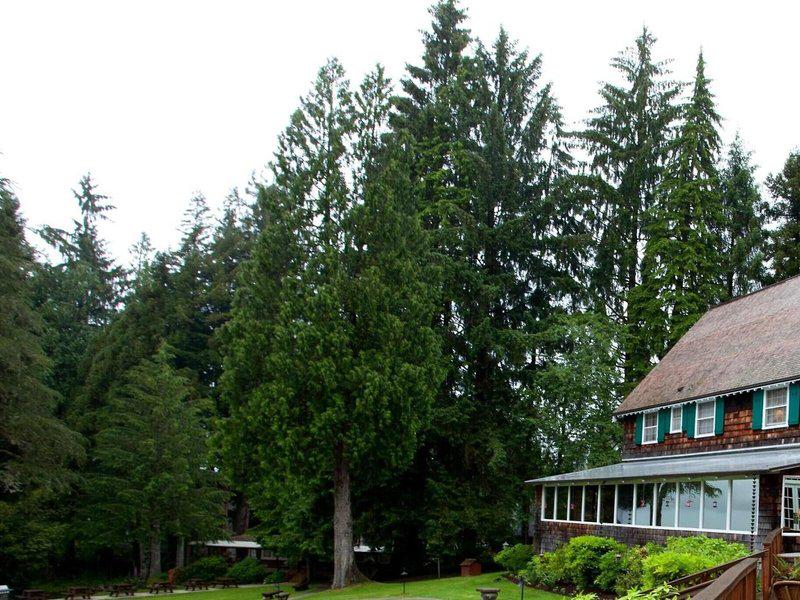 889E540A773BFA8B4394227675313533