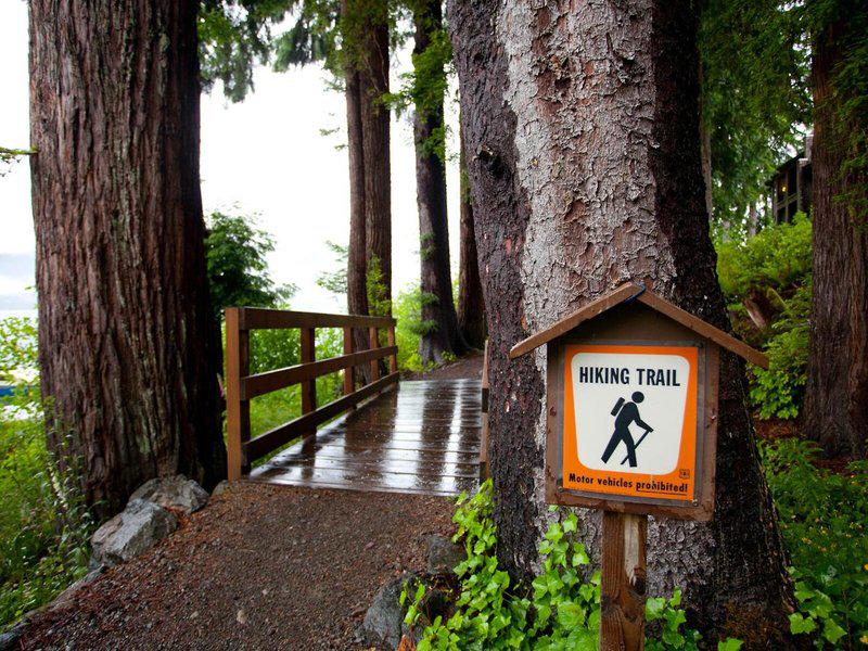 BE94312DC4C42DA7E2B96C657FB82DBC