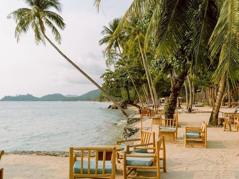 C433E1772892102D0B80718ABBDD2606