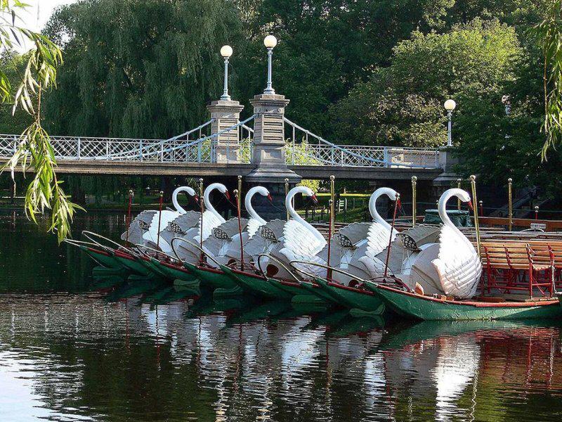 72619C8B60D9BF5E112BC817CA851283