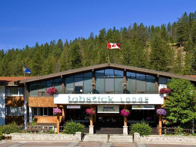 9A1421B79A6E81D1CBCF50A85E3E7DE8