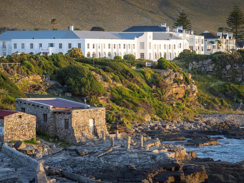 F61A7F5025517F6CDDF37D4618B5A875