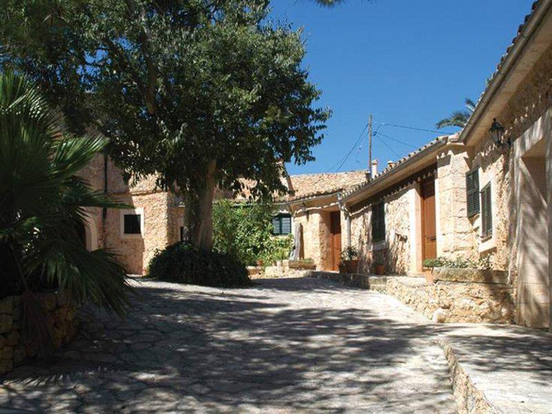 EAE94DF28D8F9C4A91FEF4334C6350F6