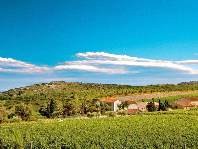 529CC6C65C2BCB038E0C32A778F7C95E