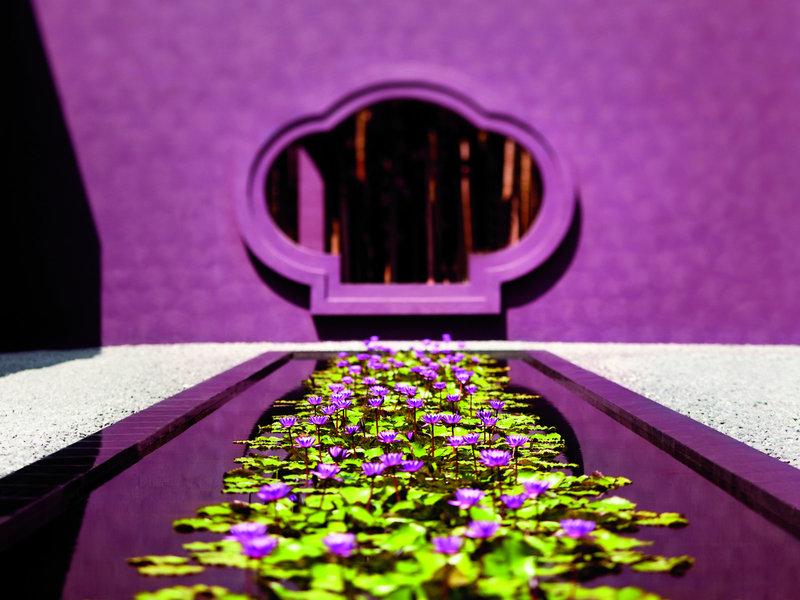 BE4318EF6F0E6E8557A66D478063FA5A