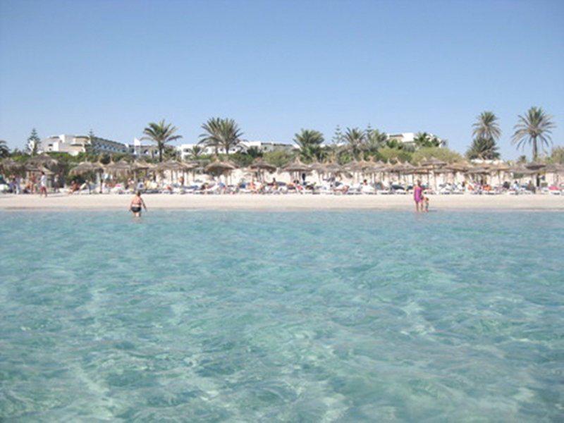 BC7C1AF60F0A12EAE9DBC99A8C6A4242