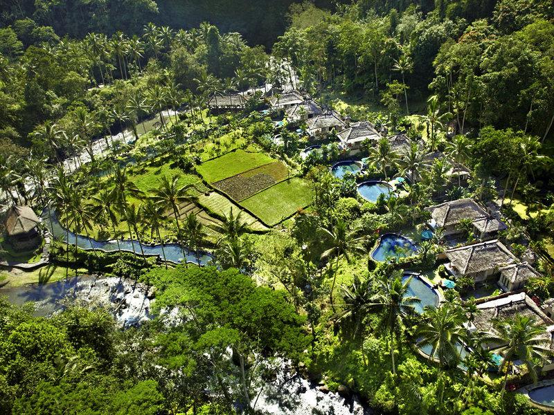 883F58723F162765FC8AB621095CA6A4