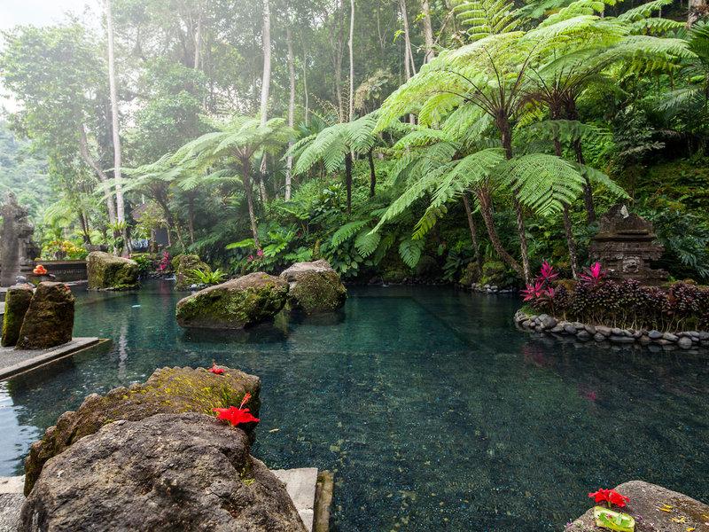 7808D9199700B990605B3EA4CFBBD4D4