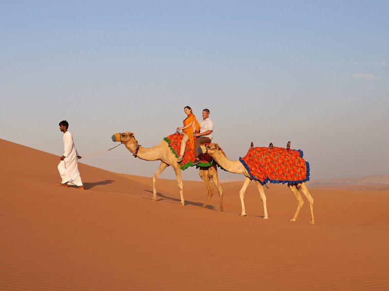 CF6ECD2B4AAE50C5B2AEEAC34F370EFC