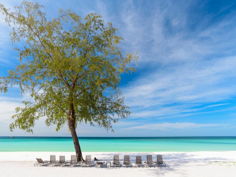 B4BFC247BAB4E28AC61E00685362D20A