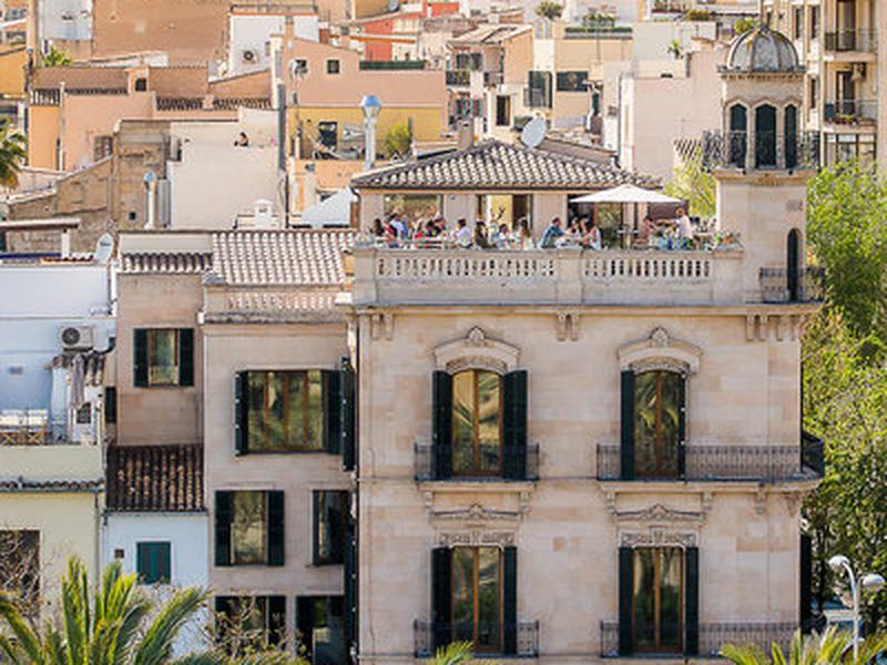 31F88169B86594033613E2C2C7FD1852