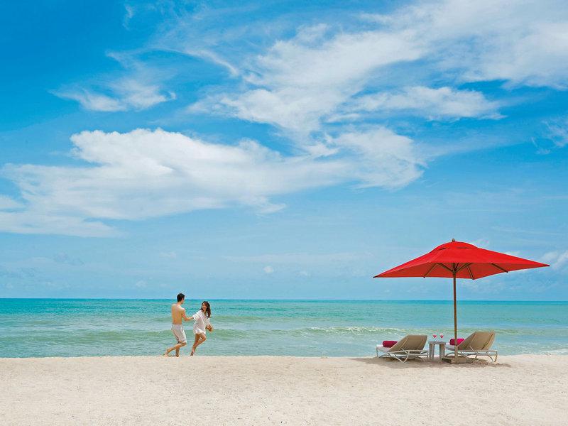 8FF26CFFDE7A26A0D87761D0B382F8B1