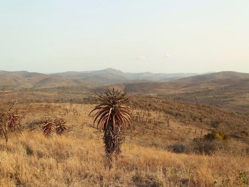 98A58815A8C16C078B6780A0423A44B1