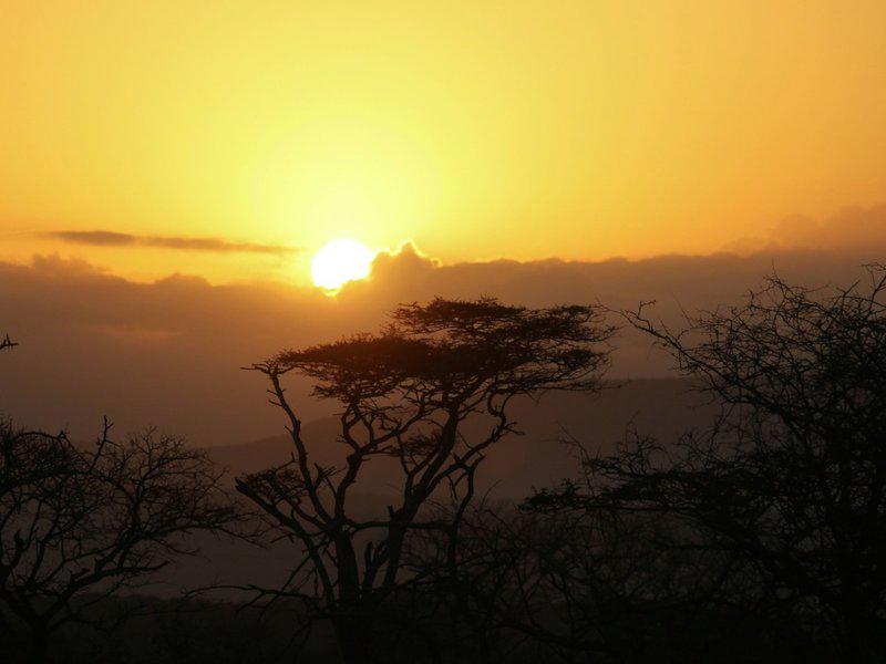 9AB9713A025224D5F580BD4059DA1034