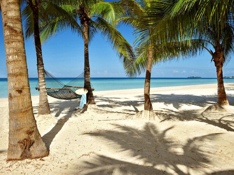 80915D7B1D066DC5C9D6BE75E8EEDA41