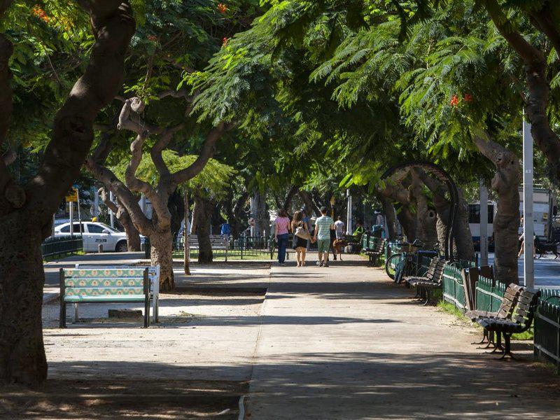 A41C60335F31D02DDC777CD09369B20A