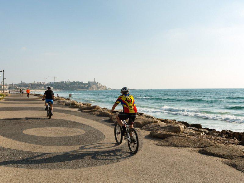 C36D1737180E9CAD2C89E9A2398AFAB8