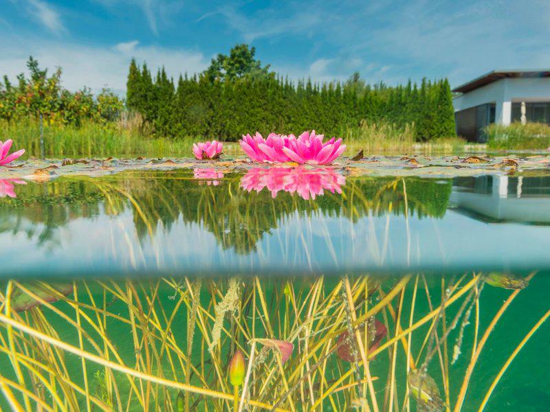 6B671B603F7AF91AE2A7A64C32FB4C3F