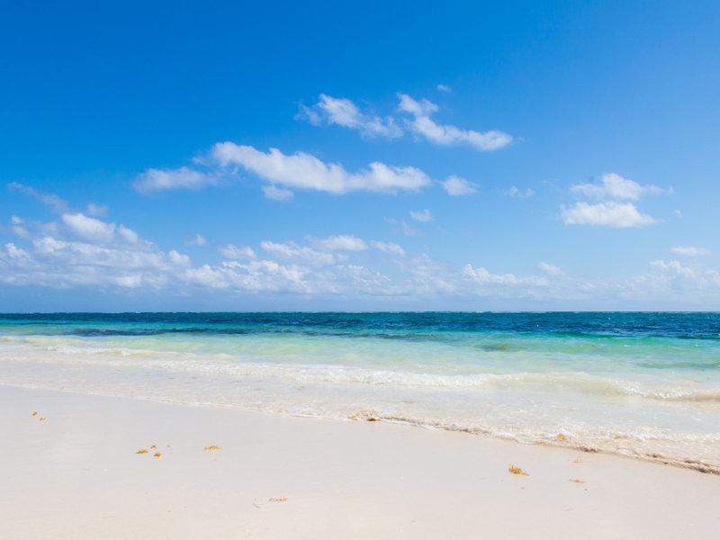 329C1317FAF9A717AD56E20B377E3557