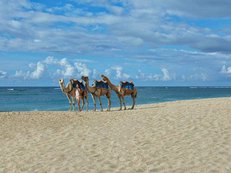 CFB1DFBDCB12895C81E20C9DE3C5DC64