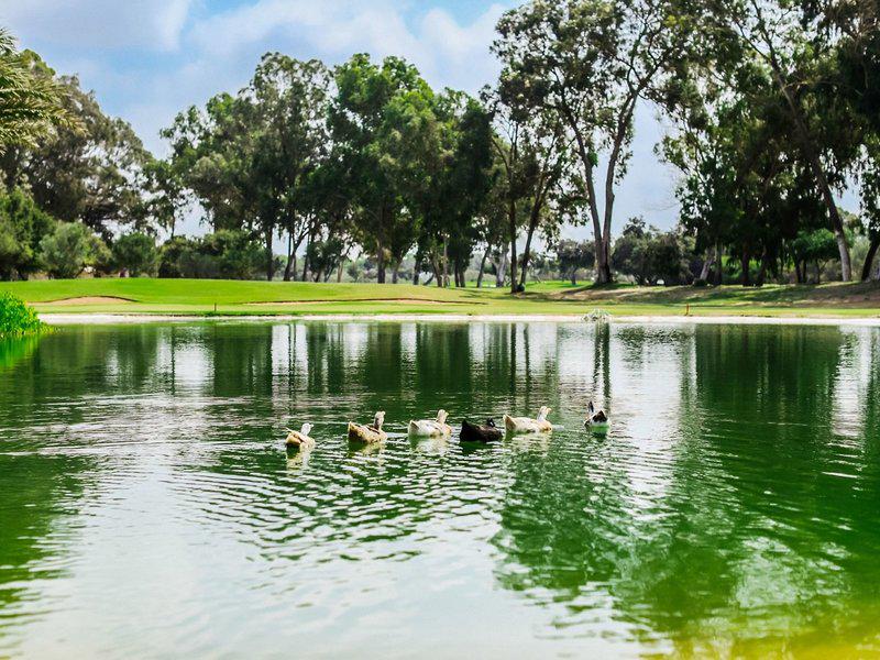 394F916CB4959E3510C405ECABCCA0C7