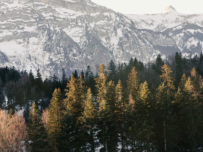 D75A1F1B716645886C9030BCC3F94D4A