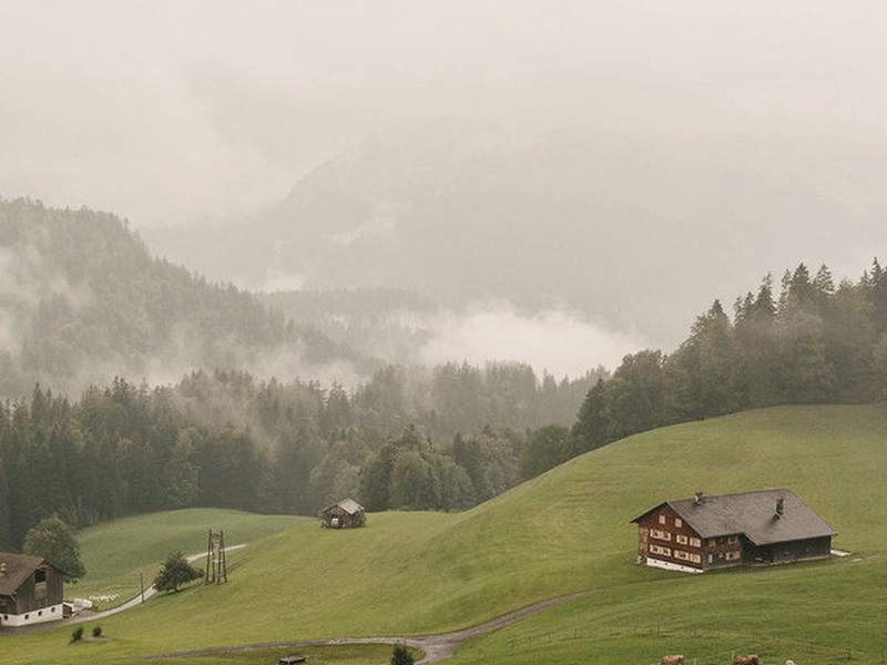 8C0C65E766137A3E42E2B5BE859ABB50