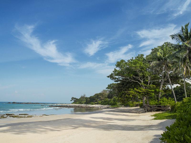 395ED1F747A063D7938367CB9D19B5AC