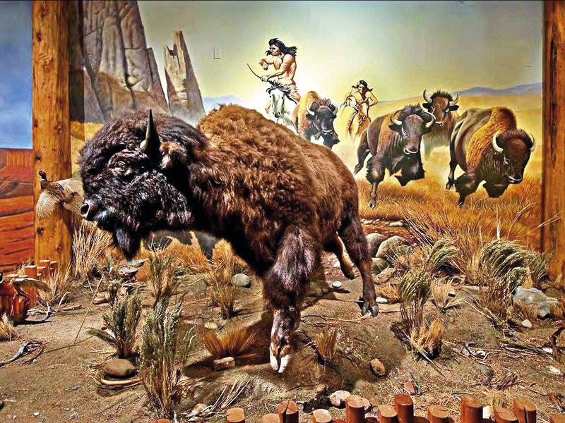 68BEF1FD8A8E2D07C11BABA28B9E7096