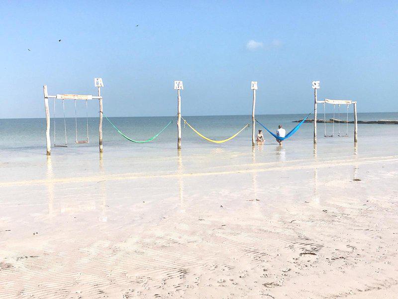 36AB5698493EDA19929007E51663AE57