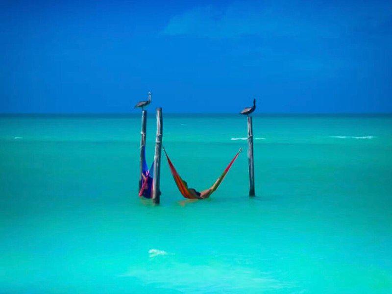 EFA190DC1DFCDA11479FE28AEFE12BBB