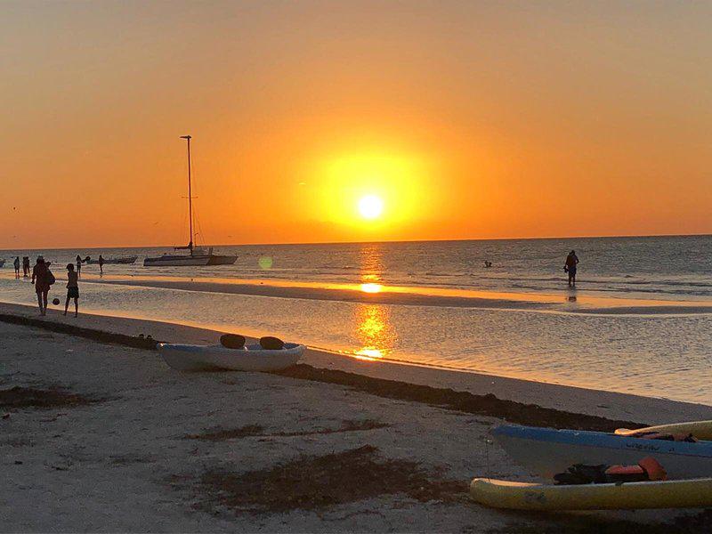 01A804AF47D6F1E9633E764B34A22BB8