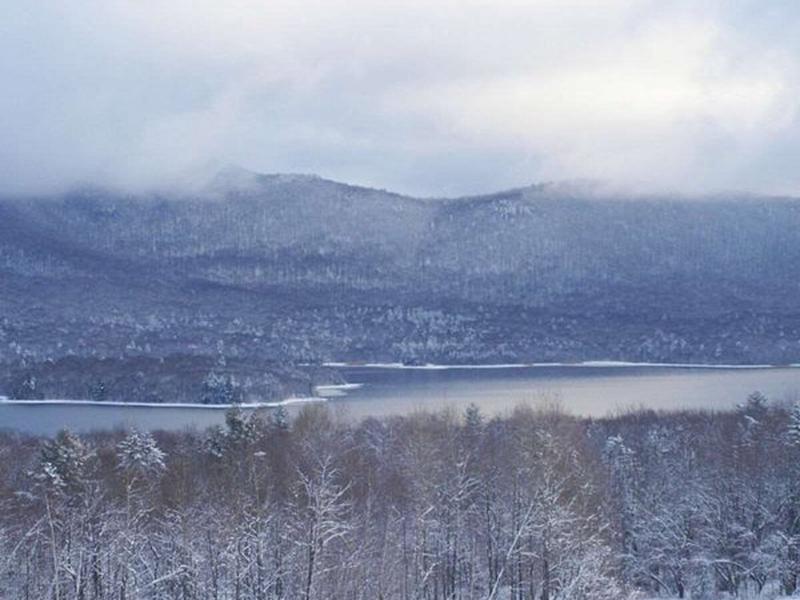 F9773A560DD9D58DBC352DAEC378E9AD