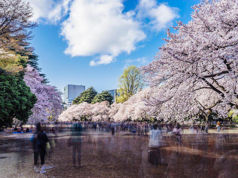 C8472086CE3C7DD358E37E2A98A160FF