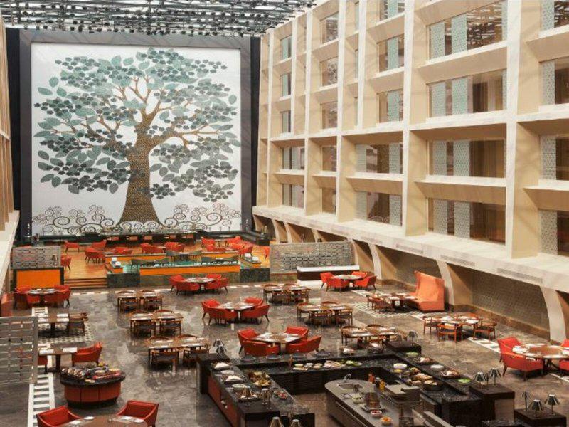 50A466E1F6FFC1D92F1DFB4FB1CE76C2