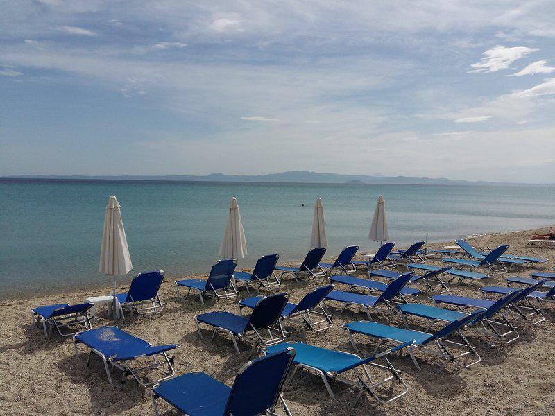 B20B05EC77E89898A280DA38C2BE8AC7