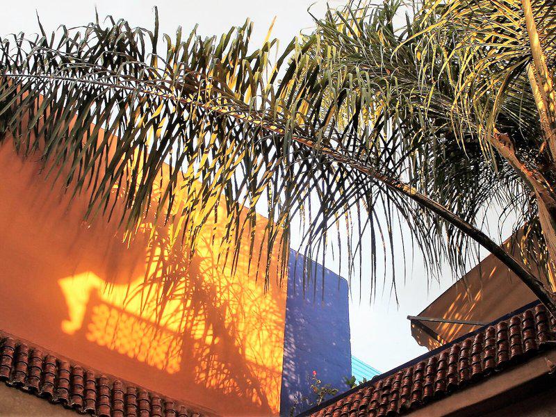 CEA2F0FA566FE572CB319166BA4C5505