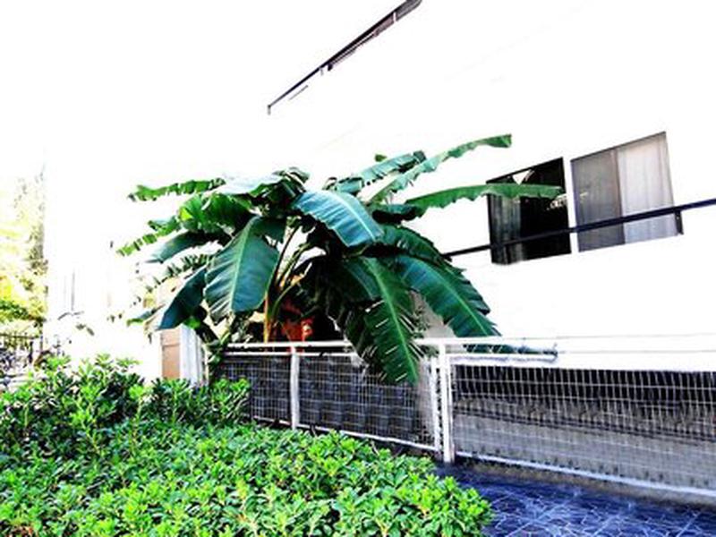 6C341D8339DCD6C5DAE2C79B8385145E