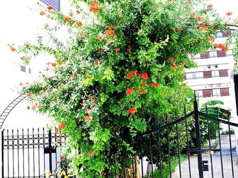 9E279B8B6E269EAF98F762319E5EEA6D