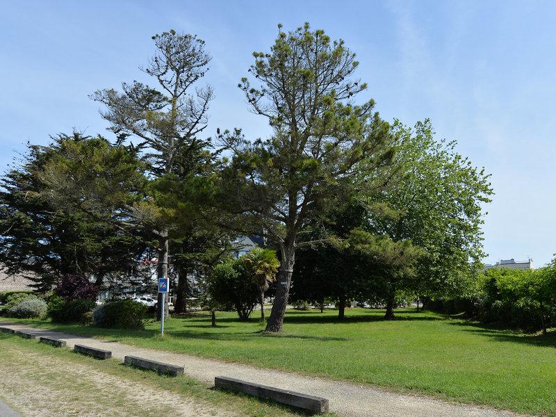 2F4E42C47620B1E974A79D87E5EF0508