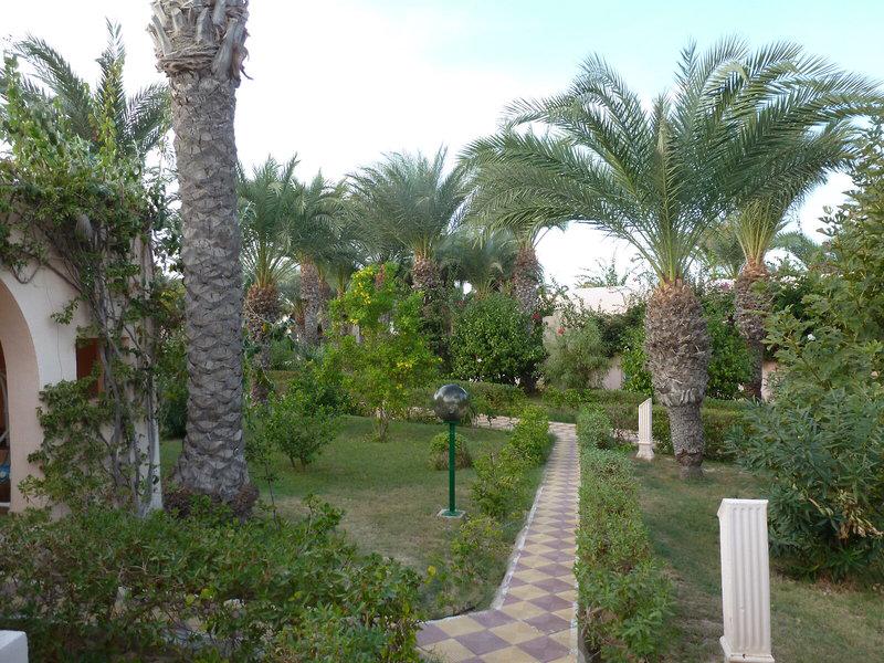 E1D3803707B19733899EA8723C68D089